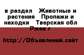 в раздел : Животные и растения » Пропажи и находки . Тверская обл.,Ржев г.